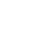 Conceptual Understanding Icon