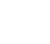 Analytical Skills Icon